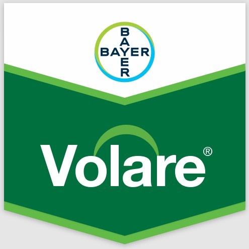 Volare Lt 1 - Foto 1 di 1