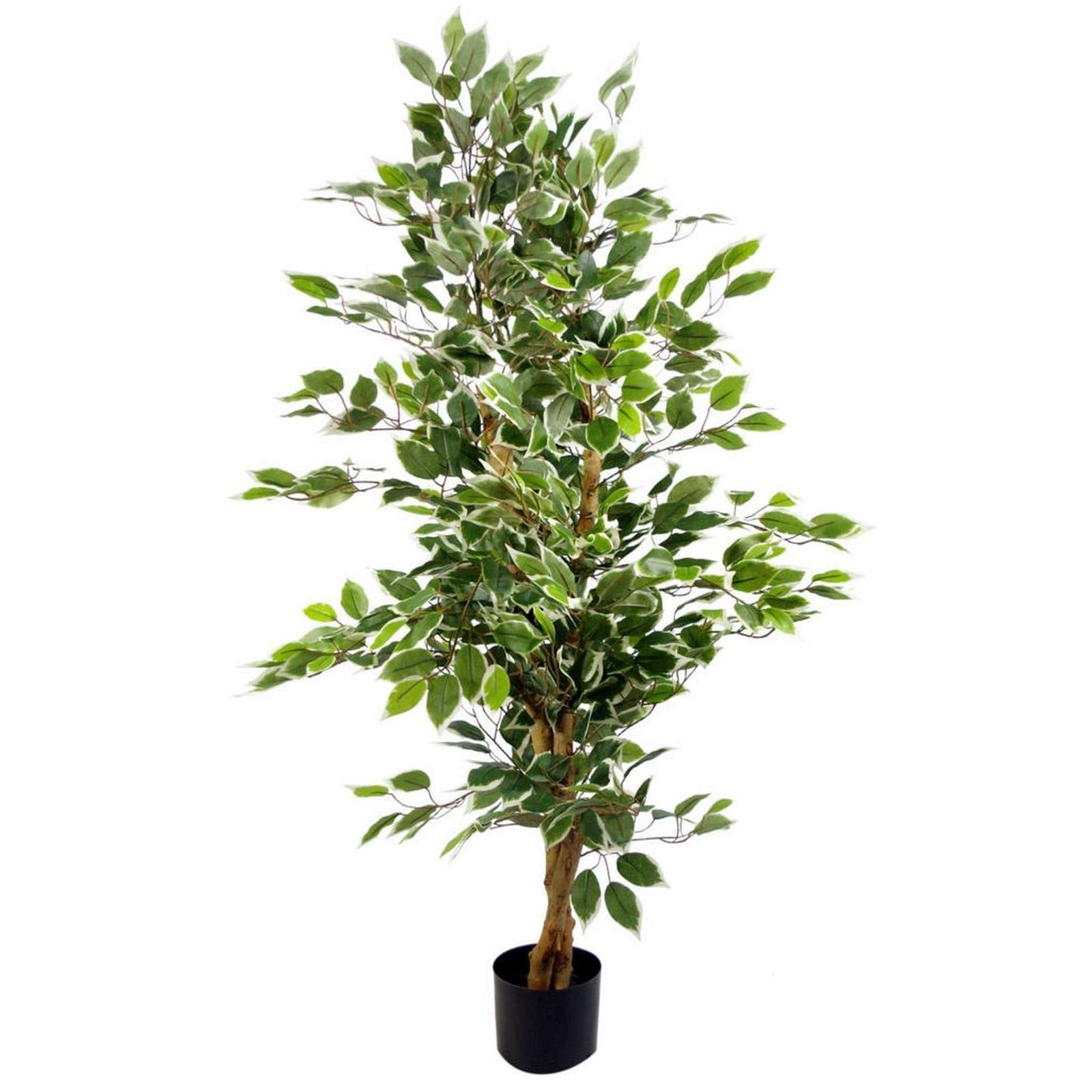 Artificial Ficus Tree Plant White Edge Bushy 130cm Realistic House Plants Leaf