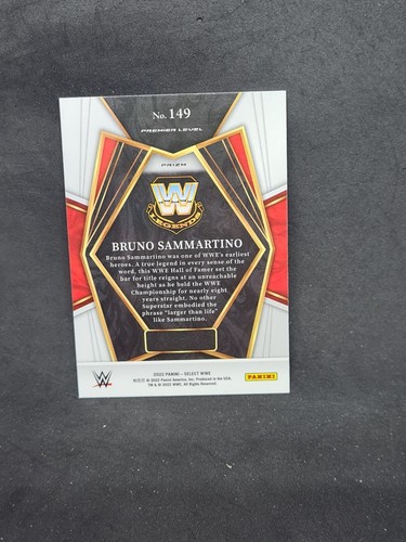 carte catch 2022 panini wwe select concourse prizm aux choix liste déroulante - Imagen 307 de 383