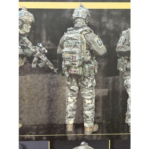 DAMTOYS 1/6 Russian Special Operations Forces SSO Action Figure Military Used - Picture 7 of 12