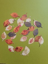 16pcs Assorted Leaves Fall Patterned Foliage Cardstock Die Cuts For Scrapbooking