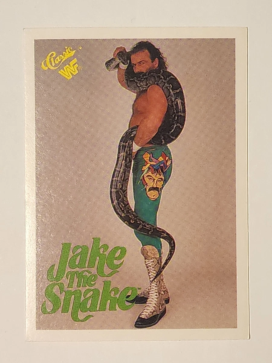 1989 Classic WWF - Jake 