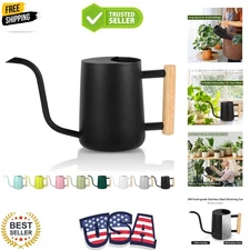 Elegant Stainless Steel Watering Can, 35oz with Long Spout for Precise Watering