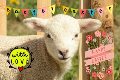 Lamm Osterkarte Gruß Blanko Tag Frühling A5 Jagdkarten Kinder Lämmer Tag Mama süß