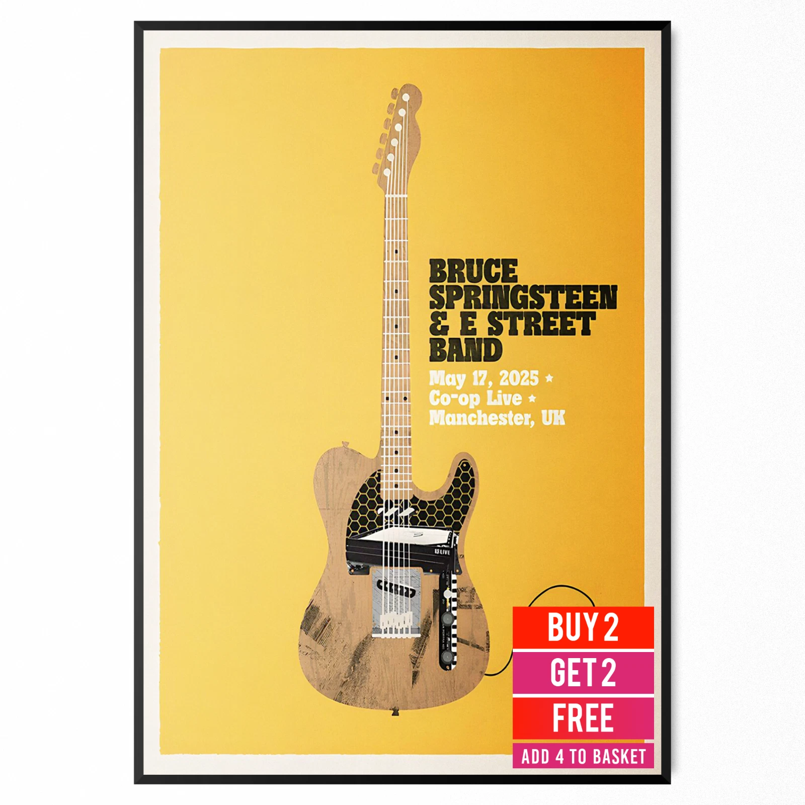 Bruce Springsteen E Street Band Concert Poster