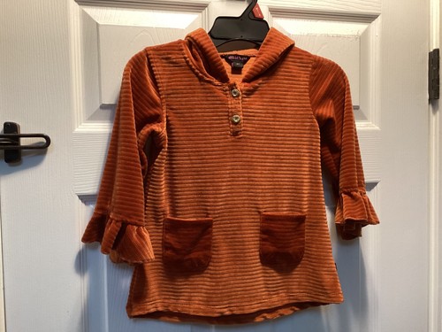 Delia's Girl Velvet Hooded Tunic/Dress Kids Size 4T