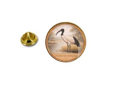 Pins Anstecknadel Ohrstecker Motiv Heiliger Ibis Threskiornis aethiopicus