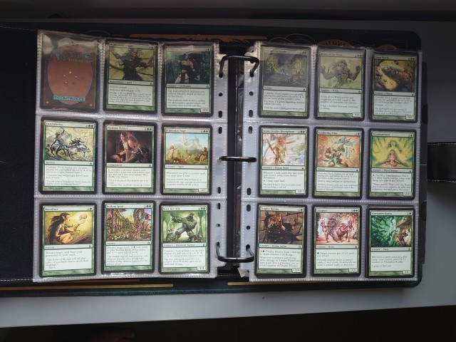 Picture 9 of 24