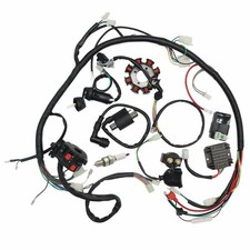 Arnés de cableado eléctrico cable CDI bobina estator conjunto 150cc 200cc 250cc triciclo go kart