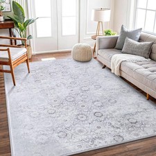 3x5 Area Rugs for Living Room - Washable, Non-Slip Medium Accent Rug for Bedr...