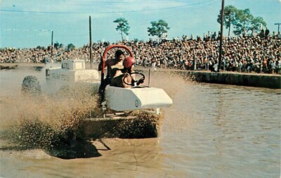 Postcard Swamp Buggy Races, Naples, Florida