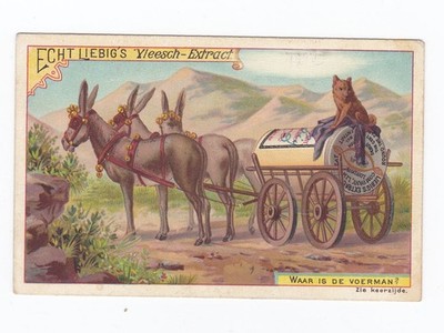 Riddles - 12 - Where is the driver - 1 Liebig trade card - san347olae iss 1892
