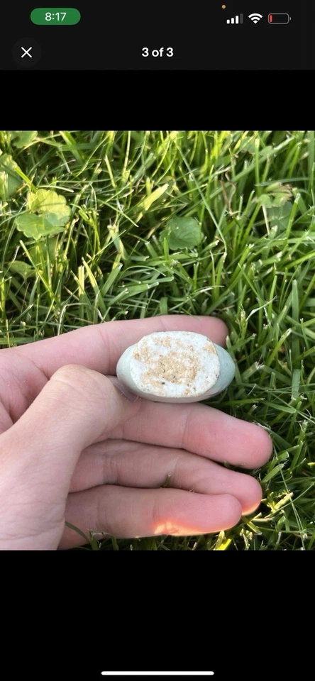 Antigua botella de tabaco Celadon de cerámica china del siglo XIX Foto 4 de 4