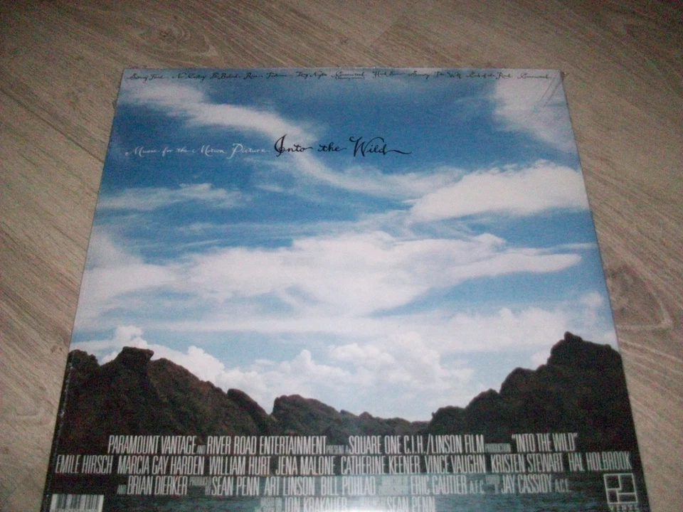 EDDIE VEDDER INTO THE WILD LP + BOOK EXCELLENT ETAT - Image 2 of 2