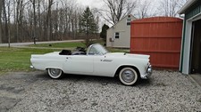 1955 Ford Thunderbird for Sale