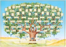 Kumprohu Family Tree Chart - 15.75x23.62inch 6 Generation Genealogy Poster,... 