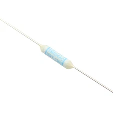 50Pcs NEC SCHOTT Microtemp Thermal Fuse Axial 169℃ TF Cutoff 2A 250V SM146A0