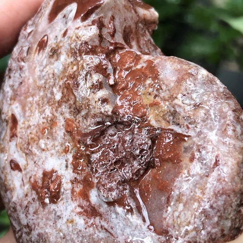 153gr 驚くべきペルミアン 全体 ラフ 薄い アンモナイト 化石 モルスカ - 画像7/11