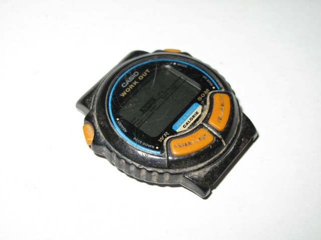 casio vintage sport