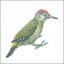 rainbirdfossilsminerals
