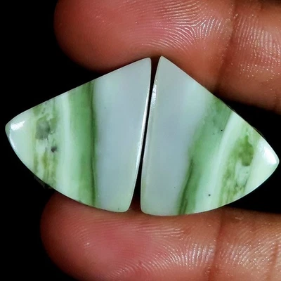 Natürlich Serpentine Paar Birne Cabochon Lose Edelstein 26.55 Karat (20x22x03 MM - Bild 1 von 4