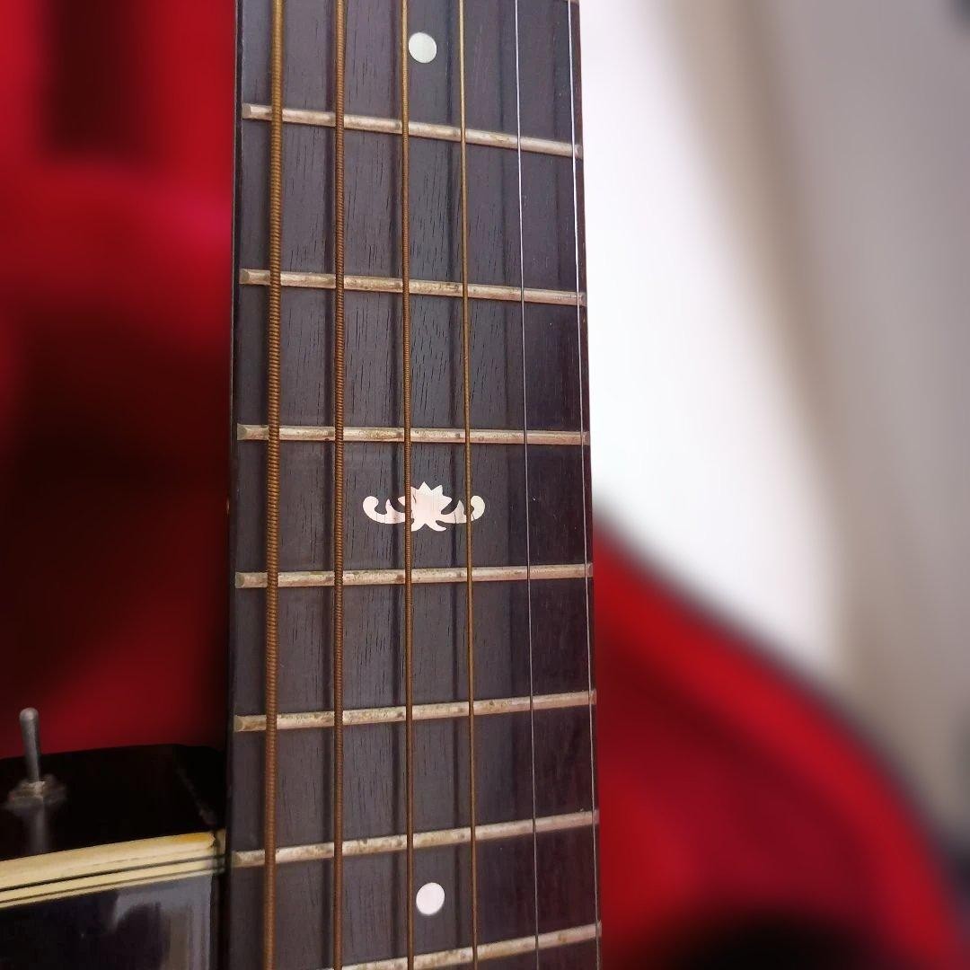 Acoustic Guitar Alvarez by Kazuo Yairi DY 56GB 1985 S/N 57431 Made