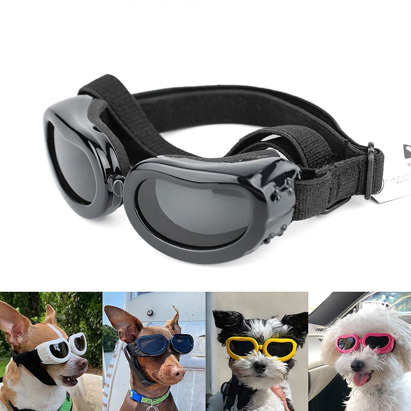 Doggles for dogs 2025