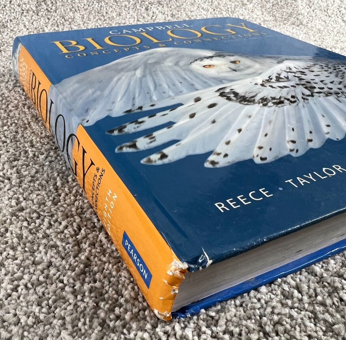 Campbell Biology Concepts and Connections 8th Edition | eBay