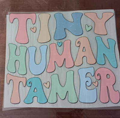 1 DTF Print Tiny Human Tamer Back School Education Teacher Professor Ready Press