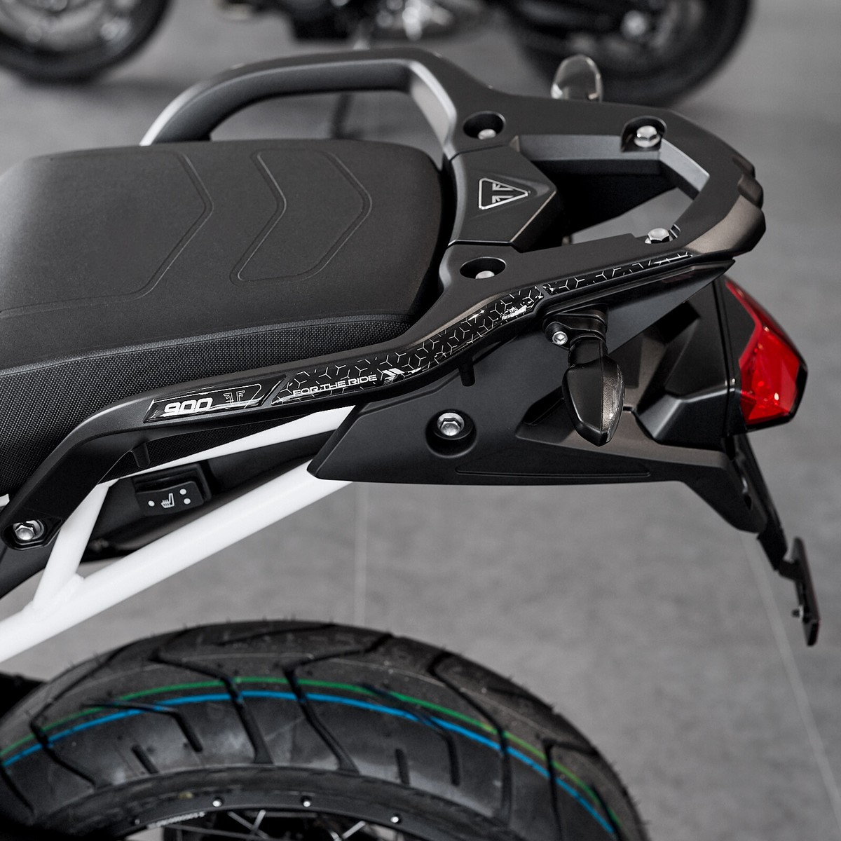 Resin Bike Stickerset voor motorfiets, compatibel met Triumph Tiger 900 GT-GT Pro 2024. Bescherming voor tankpad Tegen Stoten en Krassen. Geharste stickers met 3D-effect, Made in Italy