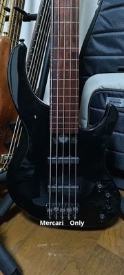 Modulus Genesis 5st Electric Bass Guitar 1999
