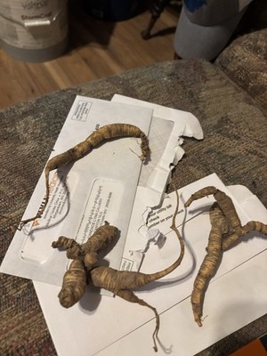 Ginseng Roots 20-35 Years Of Age dry. If you want fresh ask. It will cost more.