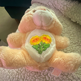 Care Bears vintage teddy Bear Stuffed Animal with Embroidered Flowers