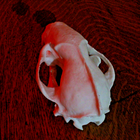 Picture 3 of 3