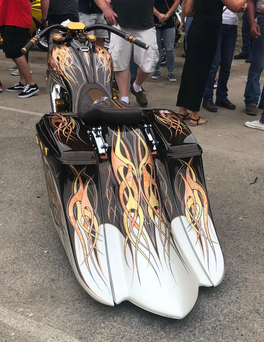 Custom harley on sale davidson baggers