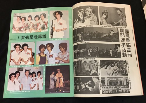 1970's 翔鳴畫報 #3 Hong Kong Chinese Cantonese opera magazine 任劍輝 白雪仙 龍劍笙 梅雪詩 - Picture 6 of 9