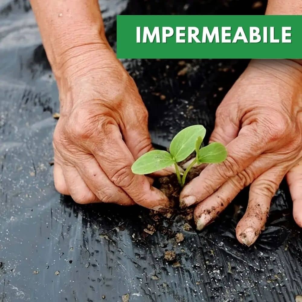 LIF Telo Per Pacciamatura Senza Fori Lunghezza 100 Mt Rotolo - TSF12100 - Foto 7