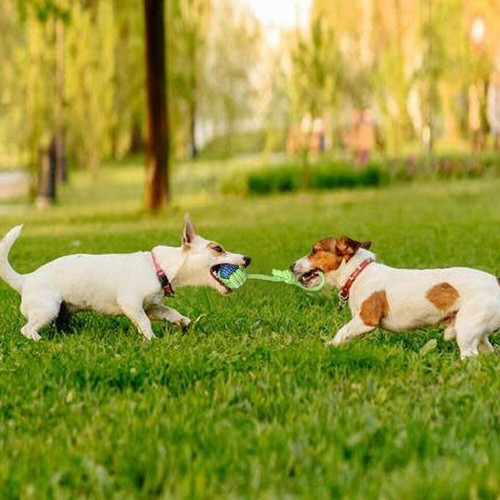 Interaktives Baumwollseil Meteor Ball Spielzeug für Hunde - Zahngesundheit & Spaß Hundeseil - Bild 12 von 13