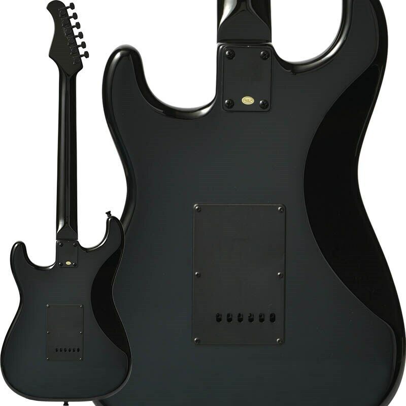 Bacchus HTC-ALL BLACK テレキャスター(Bacchus Universe Bacchus HTC-ALL BLACK テレキャスター(Bacchus Universe