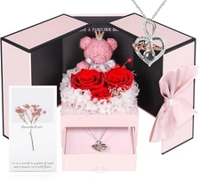 Addwel Great Gifts for Grandma, Preserved Real Roses with I Love You 100 Languag