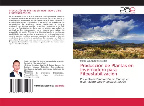Planta De Luz Gasolina