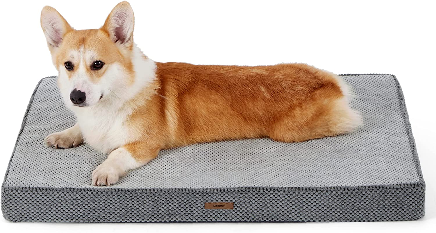 egg crate foam dog bed insert