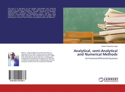 Analytical, semi-Analytical and Numerical Methods | Desire Takudzwa Jinga | Buch