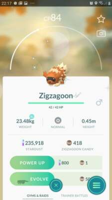 shiny zigzagoon pokemon card Pokemon go Shiny Zigzagoon