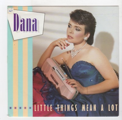 (R41) Dana, Little Things Mean A Lot - 1985 - 7 inch vinyl