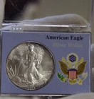 1994 US Silver Eagle $1 Nice Unc Edge Toning in Case.