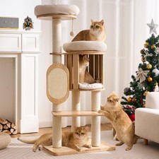Modern Solid Wood Cat Tree for Indoor Cats Large Adult, 50in Tall Cat Tower w...