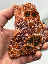 Orbicular Leopard Skin Jasper Slab Lapidary Cabbing Carving Combo Ship Avail
