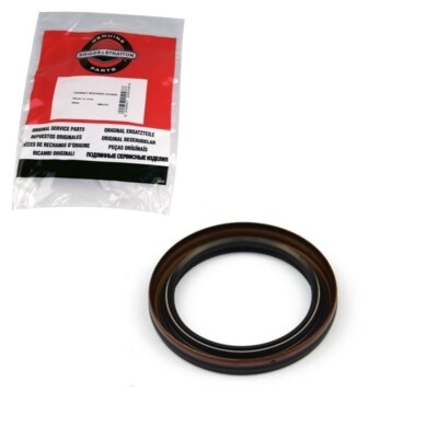 Original Briggs&Stratton Wellendichtring 795387 / John Deere MIU11958