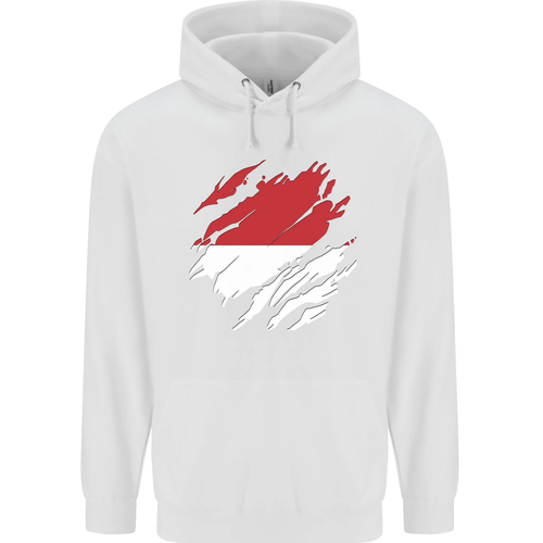 Torn Indonesia Flag Indonesian Day Football Childrens Kids Hoodie - Picture 69 of 76